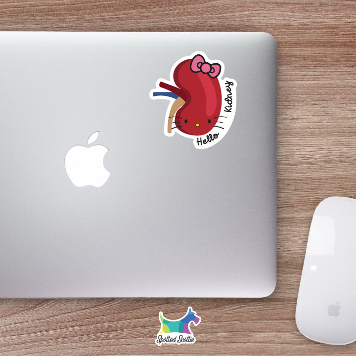 Hello kidney sticker