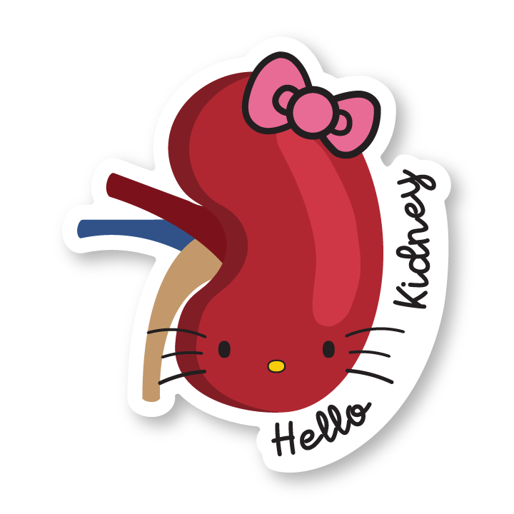 Hello kidney sticker