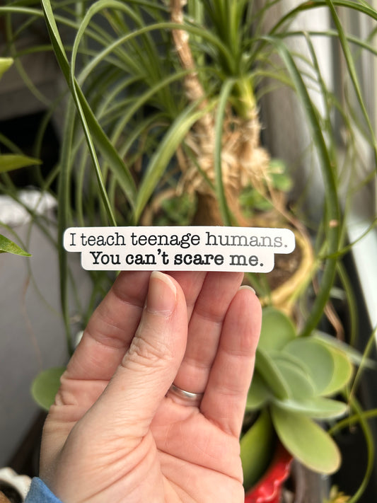 I teach teenage humans sticker